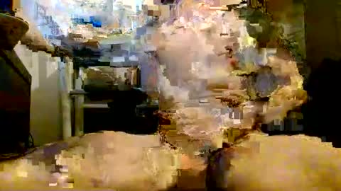 onlyfunnowchat online show from 01-06-26, 05:38