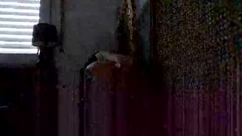 onlywholes online show from 01-26-25, 09:08