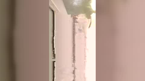 ooiskyfalloo online show from 05-17-26, 12:41