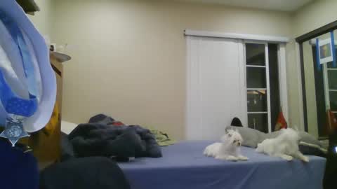 Snapshot of oorah1775 chatting on 12-22-24, 05:12 oorah1775 online show from 12-22-24, 05:12