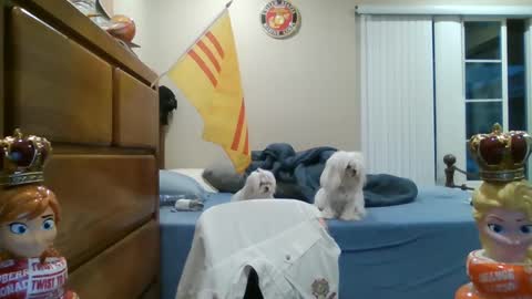 Snapshot of oorah1775 chatting on 03-02-25, 02:10 oorah1775 online show from 03-02-25, 02:10