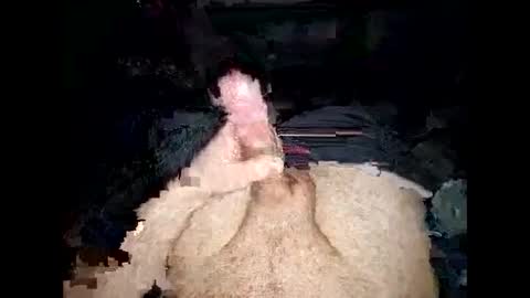 opelator online show from 01-27-25, 06:20