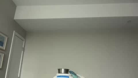 Horny and Bicurious online show from 04-07-26, 03:18