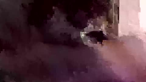 Foryourdick online show from 01-12-26, 07:46