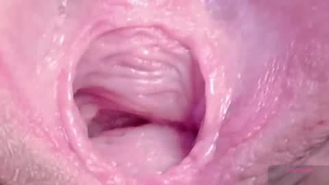 orchidekitty online show from 03-06-26, 09:11