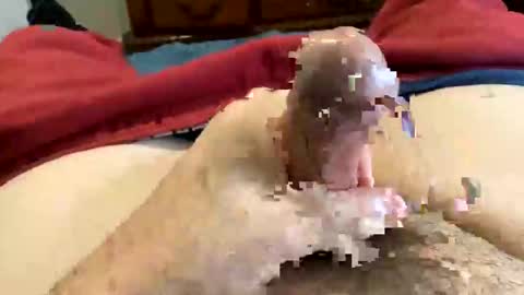 Super Soaker Oreo World online show from 12-30-24, 07:21