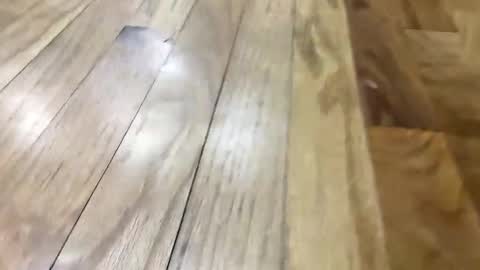 Super Soaker Oreo World online show from 11-11-25, 05:02