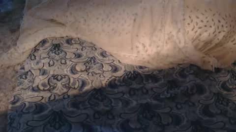 originalcali95 online show from 03-01-26, 12:23