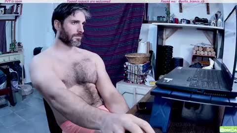Osito Blanco online show from 05-08-26, 11:43