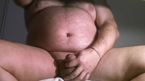 Oso Licencioso online show from 04-07-26, 05:57