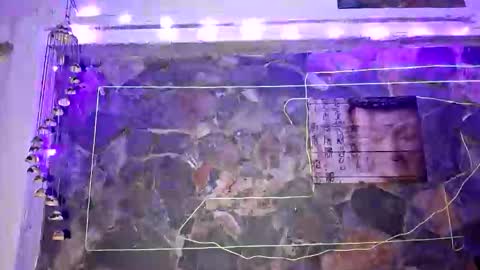 pablouyu online show from 01-01-25, 04:18