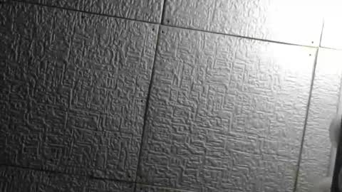 Superfeno online show from 04-22-26, 05:10