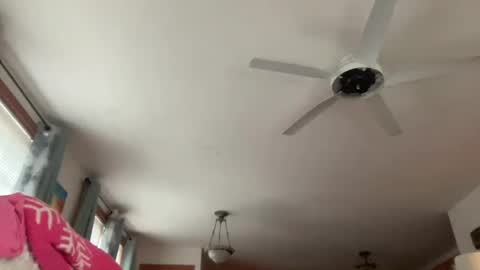 Snapshot of paisleysnowxo chatting on 10-29-25, 05:36 paisleysnowxo online show from 10-29-25, 05:36