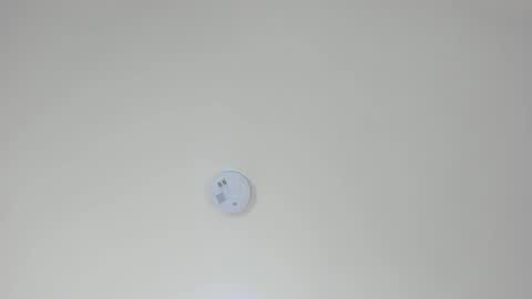 PAMELA online show from 10-23-25, 02:33