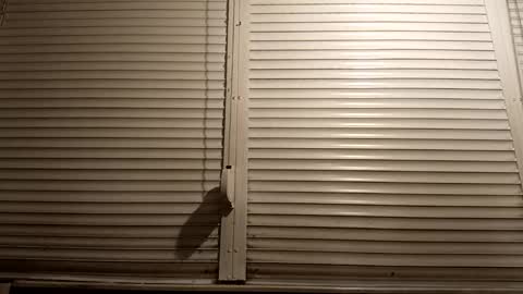 angel hris online show from 03-05-26, 07:10