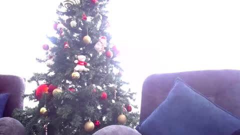 pandora__1 online show from 12-17-25, 05:41