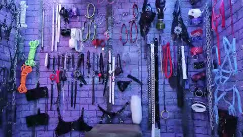 PandoraNez online show from 02-12-26, 03:34