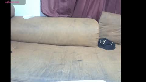 paola y alexander online show from 02-26-25, 05:31