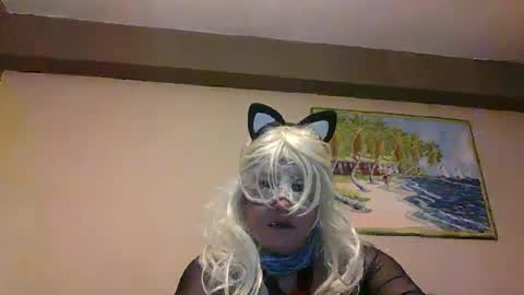 aventuras en pelotas online show from 03-12-25, 07:17