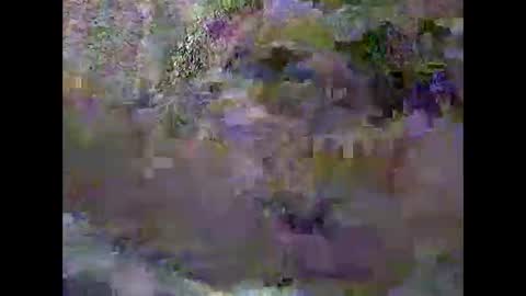 anytimeuwant online show from 02-03-26, 12:32