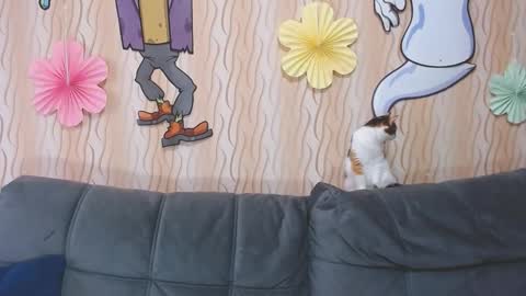 I am Lora and i am glad to see you in my room online show from 10-11-25, 03:50