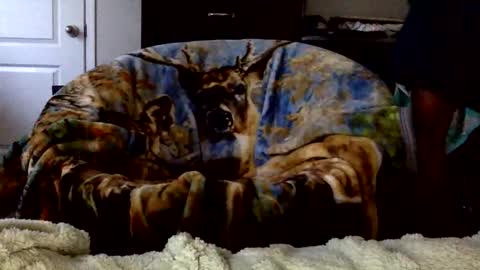 patdaddy12 online show from 04-16-26, 09:50