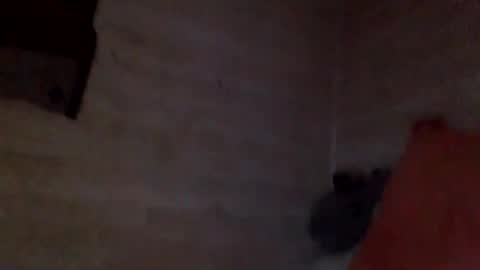 Pati24 online show from 02-26-26, 10:25