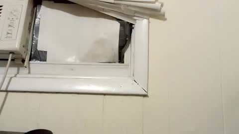 Snapshot of pato0008 chatting on 12-18-24, 02:32 JD online show from 12-18-24, 02:32