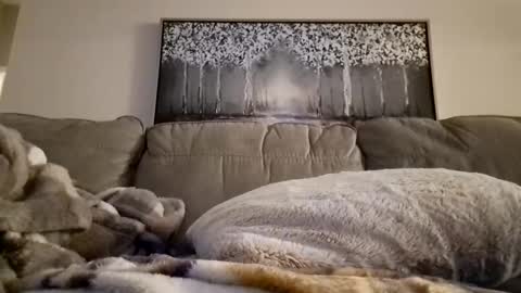 Snapshot of patrick247288 chatting on 02-12-25, 12:22 patrick247288 online show from 02-12-25, 12:22