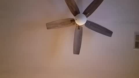 Snapshot of patrick247288 chatting on 03-02-25, 08:48 patrick247288 online show from 03-02-25, 08:48