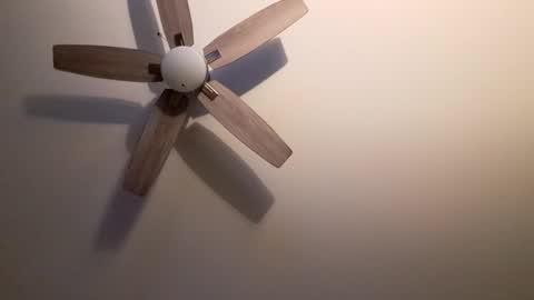 Snapshot of patrick247288 chatting on 09-09-25, 04:34 patrick247288 online show from 09-09-25, 04:34