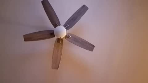 Snapshot of patrick247288 chatting on 09-17-25, 04:47 patrick247288 online show from 09-17-25, 04:47