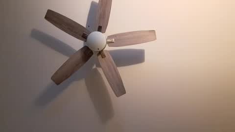 Snapshot of patrick247288 chatting on 09-18-25, 04:25 patrick247288 online show from 09-18-25, 04:25