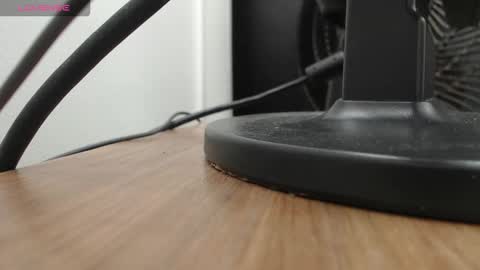 PAUL online show from 11-19-25, 12:27