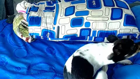 paula_willss online show from 01-06-25, 12:35