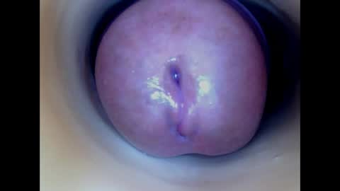 Paula 18 Aninhos online show from 04-05-26, 02:25