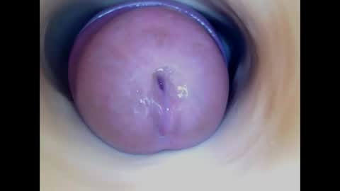 Paula 18 Aninhos online show from 04-15-26, 07:58