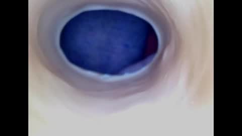Paula 18 Aninhos online show from 04-29-26, 05:30