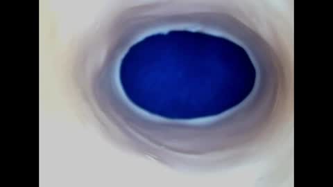 Paula 18 Aninhos online show from 06-19-26, 05:06