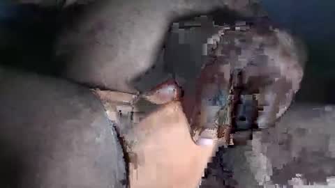 paulcockring online show from 11-23-25, 04:34