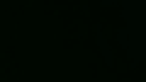 PaulCongo online show from 04-22-26, 10:28