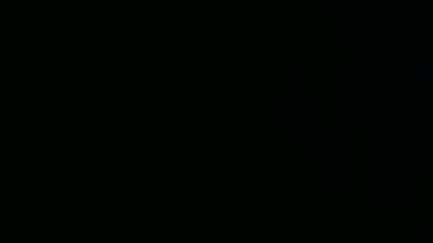 PaulCongo online show from 04-23-26, 10:25