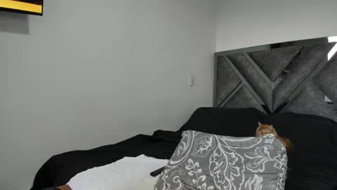 Paulina online show from 11-12-25, 09:14