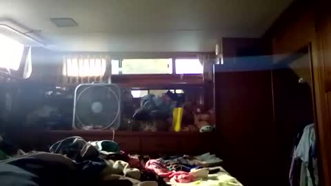 Pavone splash online show from 01-09-26, 08:21