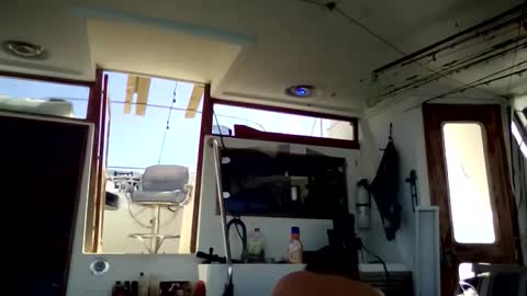 Pavone splash online show from 01-10-26, 03:58