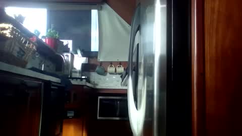 Pavone splash online show from 03-04-26, 09:10