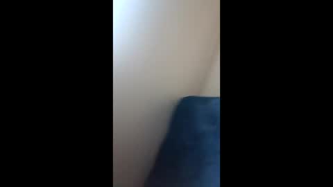 Paw online show from 12-21-24, 09:23