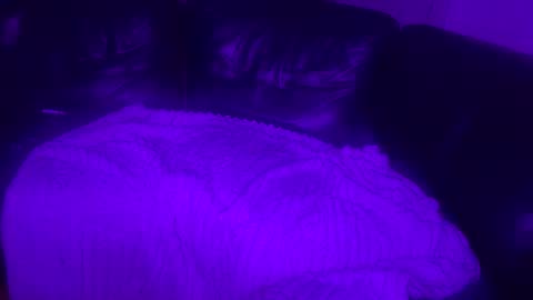 paybarbi online show from 11-16-25, 07:14