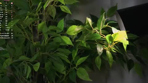 Beautiful Mila online show from 07-07-26, 06:47