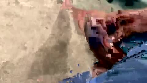 peakingondaddy online show from 10-15-25, 11:21